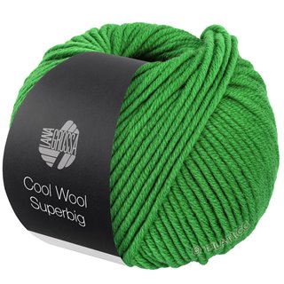 Lana Grossa COOL WOOL Superbig