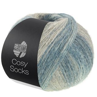 Lana Grossa MEILENWEIT 100g Cosy Socks Dream
